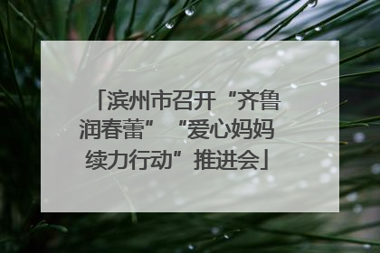 滨州市召开“齐鲁润春蕾”“爱心妈妈续力行动”推进会